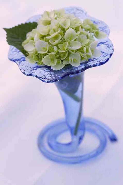 Blushing Bride in blue vase