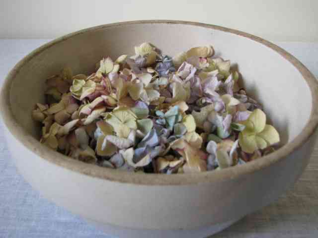 Dried hyreangea petals in bowl
