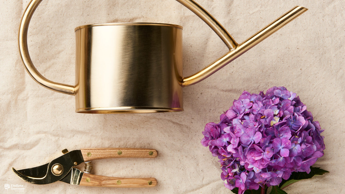 Gold watering can, pruners and BloomStruck flower
