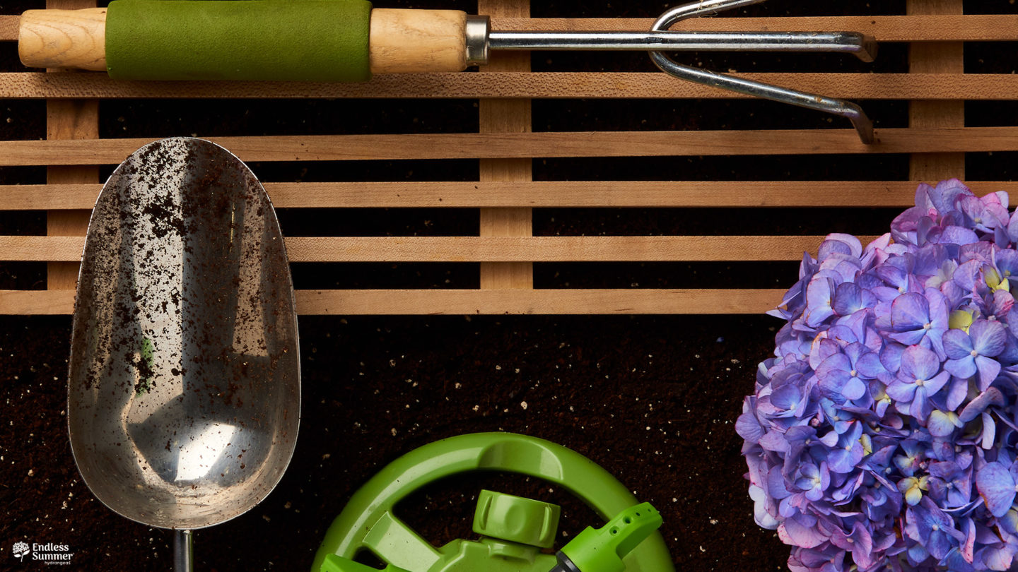 Gardening tools with BloomStruck bloom