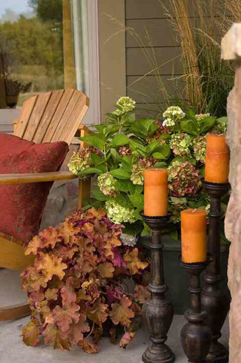 Blushing Bride in decorative container on front porch in fall