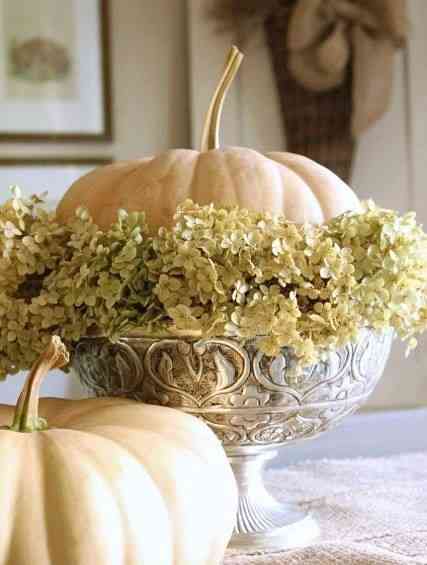 Dried hydrange in arrangement with white pumpkin