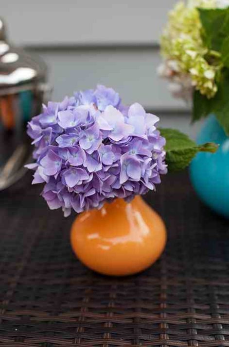 BloomStruck in small orange vase