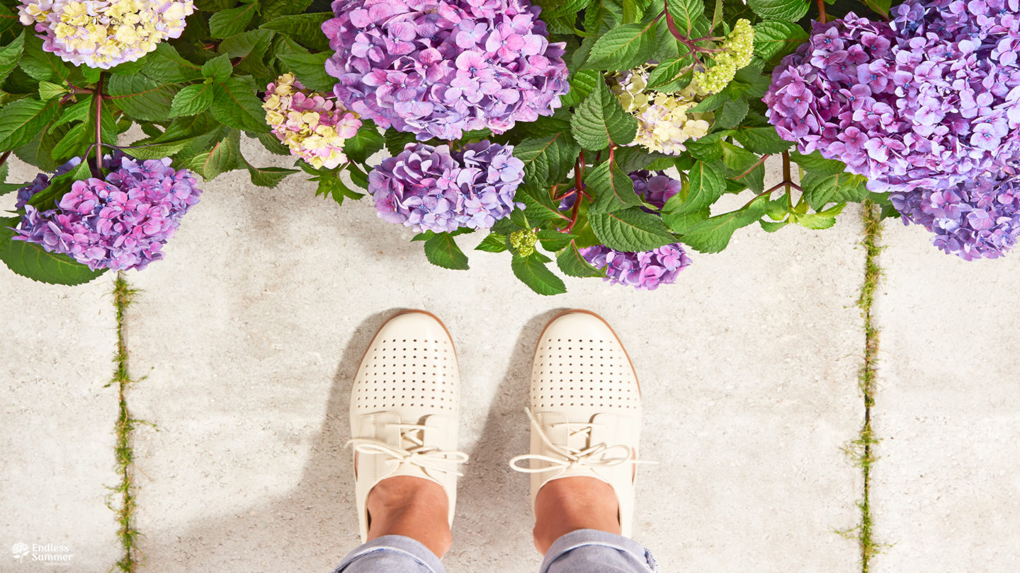 Feet with BloomStruck flowers next to paver walkway