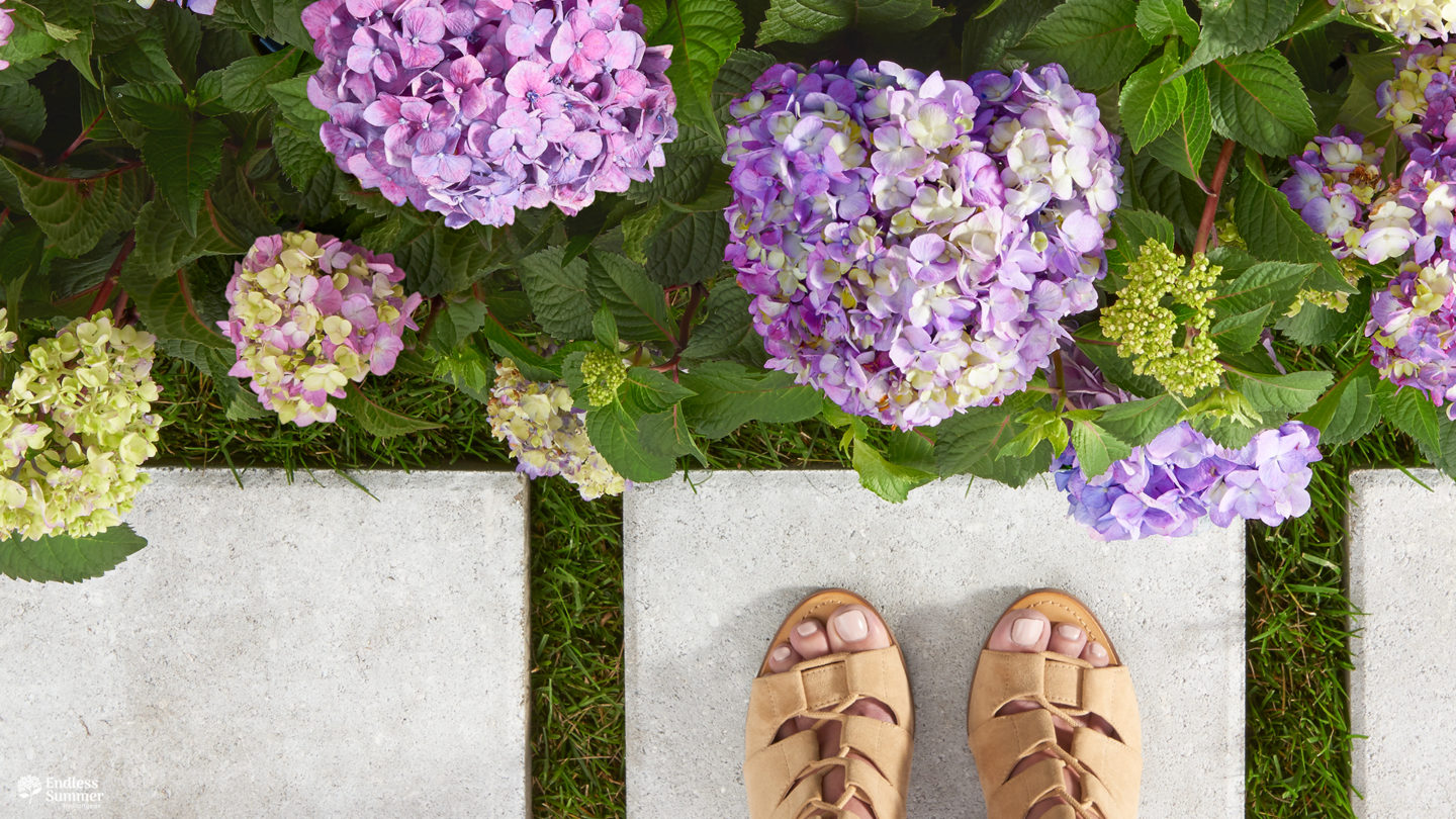 BloomStruck flowers by pavers with feet