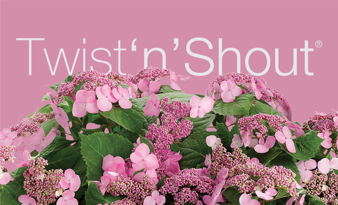 Twist-n-Shout logo with flowers