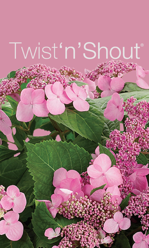 Twist-n-Shout logo with flowers
