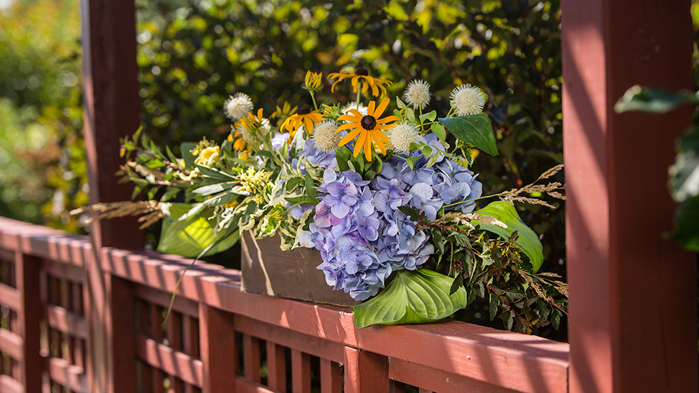 cut flower arrangement with The Original hydrangea